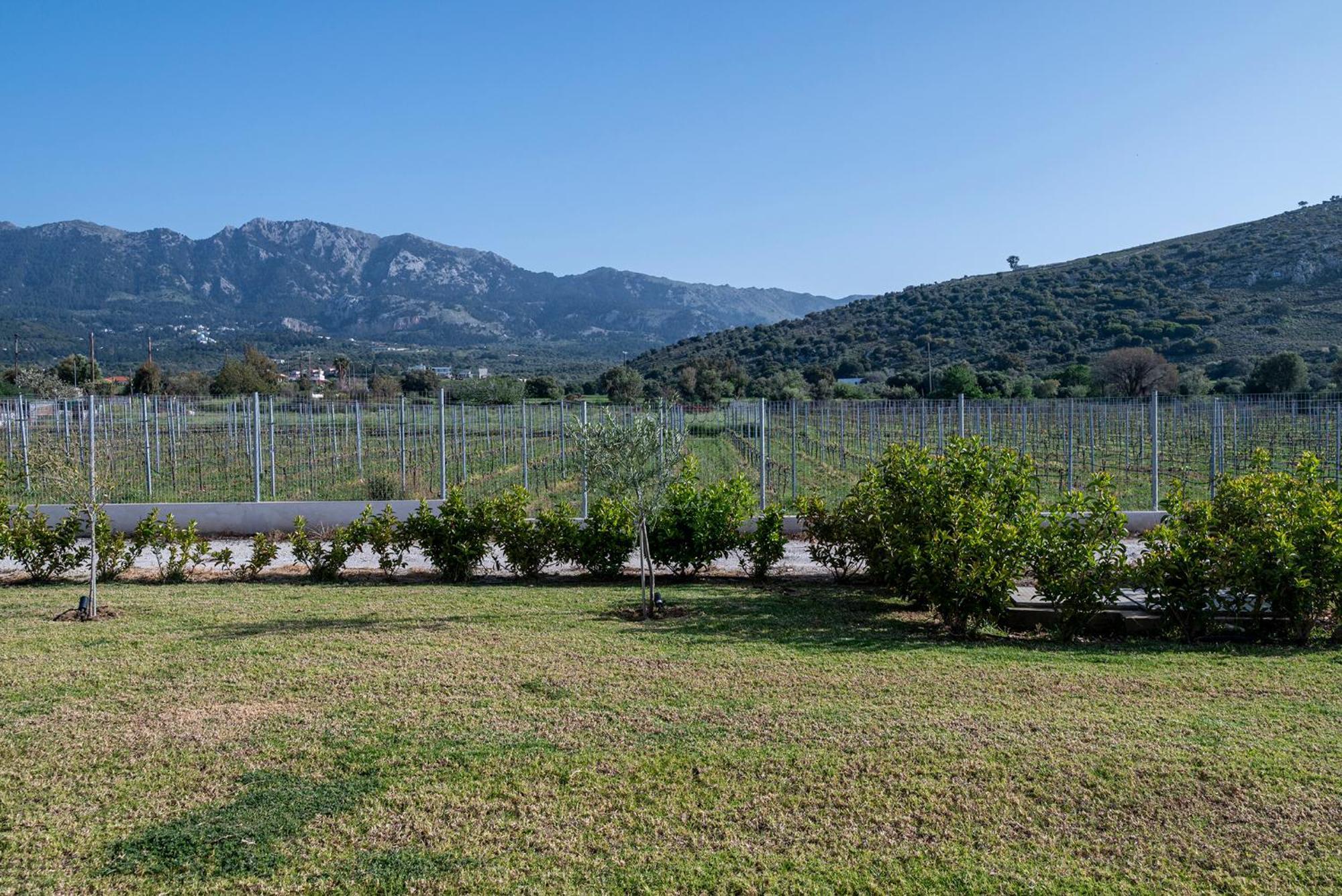 Linopotis Olive Tree Gardenヴィラ エクステリア 写真